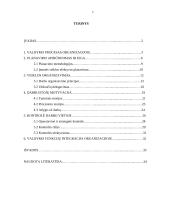 Valdymo procesas organizacijoje