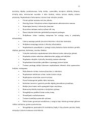 Rekreacijos organizavimo problema Lietuvos kaime 12 puslapis