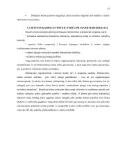 Rekreacijos organizavimo problema Lietuvos kaime 13 puslapis