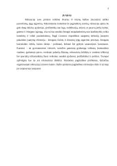 Rekreacijos organizavimo problema Lietuvos kaime 3 puslapis