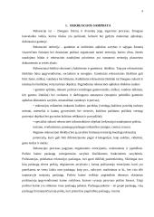 Rekreacijos organizavimo problema Lietuvos kaime 4 puslapis