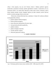 Rekreacijos organizavimo problema Lietuvos kaime 6 puslapis