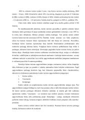 Rekreacijos organizavimo problema Lietuvos kaime 9 puslapis