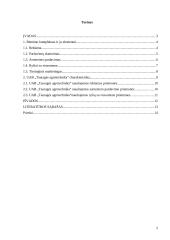Rėmimo komplekso vertinimas: UAB "Tauragės agrotechnika" 2 puslapis