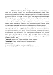 Rėmimo komplekso vertinimas: UAB "Tauragės agrotechnika" 3 puslapis