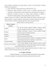 Rėmimo komplekso vertinimas: UAB "Tauragės agrotechnika" 8 puslapis