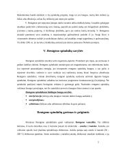 Rentgeno spindulių istorija, savybės bei panaudojimas 5 puslapis