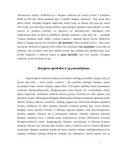 Rentgeno spindulių istorija, savybės bei panaudojimas 7 puslapis