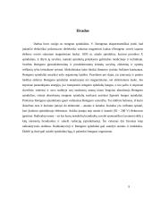 Rentgeno spindulių istorija, savybės bei panaudojimas 9 puslapis