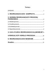 Reorganizacija 2 puslapis