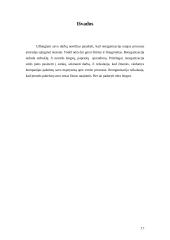 Reorganizacija 17 puslapis