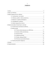 Rinkos formavimasis ir jo problemos Lietuvoje 2 puslapis