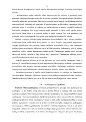 Rinkos formavimasis ir jo problemos Lietuvoje 12 puslapis