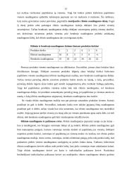 Rinkos formavimasis ir jo problemos Lietuvoje 13 puslapis