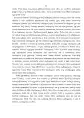 Rinkos formavimasis ir jo problemos Lietuvoje 14 puslapis