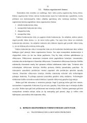 Rinkos formavimasis ir jo problemos Lietuvoje 15 puslapis