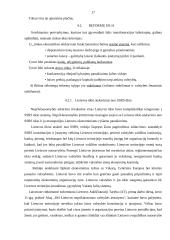 Rinkos formavimasis ir jo problemos Lietuvoje 17 puslapis