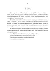 Rinkos formavimasis ir jo problemos Lietuvoje 3 puslapis