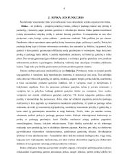 Rinkos formavimasis ir jo problemos Lietuvoje 4 puslapis