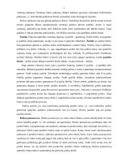 Rinkos formavimasis ir jo problemos Lietuvoje 7 puslapis