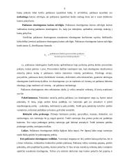 Rinkos formavimasis ir jo problemos Lietuvoje 9 puslapis