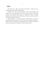 Rinka ir rinkos tyrimai 2 puslapis