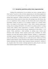 Rinka ir rinkos tyrimai 6 puslapis