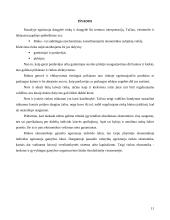 Rinkos samprata, funkcijos, privalumai bei trūkumai 10 puslapis