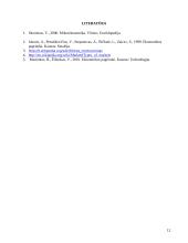 Rinkos samprata, funkcijos, privalumai bei trūkumai 11 puslapis