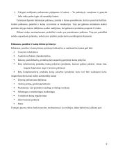 Rinkos samprata, funkcijos, privalumai bei trūkumai 7 puslapis