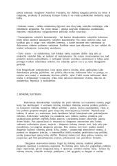 Rinkimų sistema 2 puslapis