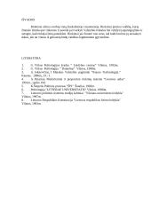 Rinkimų sistema 13 puslapis