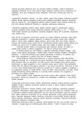 Rinkimų sistema 3 puslapis