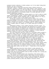 Rinkimų sistema 4 puslapis