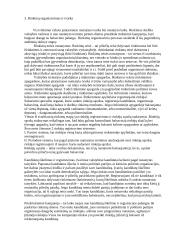 Rinkimų sistema 5 puslapis