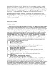 Rinkimų sistema 6 puslapis