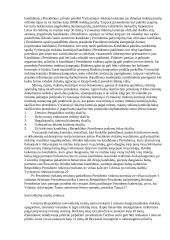 Rinkimų sistema 7 puslapis