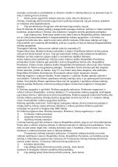 Rinkimų sistema 9 puslapis