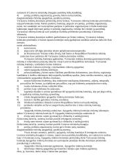 Rinkimų sistema 10 puslapis