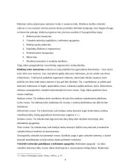 Rinkimų organizavimas ir tvarka 2 puslapis