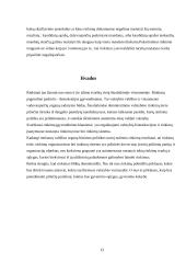 Rinkimų organizavimas ir tvarka 11 puslapis