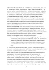 Rinkimų organizavimas ir tvarka 4 puslapis