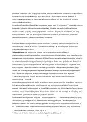 Rinkimų organizavimas ir tvarka 7 puslapis