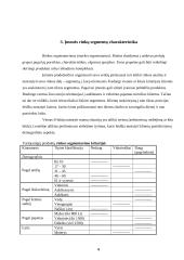 Rinkodaros komunikacijos projektas: boulingo centras "Forumas" 5 puslapis