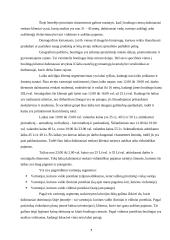 Rinkodaros komunikacijos projektas: boulingo centras "Forumas" 6 puslapis