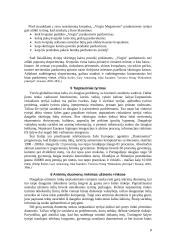 Rinkodaros tyrimai 8 puslapis