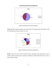 Rinkodaros tyrimas:  šarvuotų durų, garažo vartų pardavimas UAB "Saugus namas" 9 puslapis