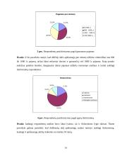 Rinkodaros tyrimas:  šarvuotų durų, garažo vartų pardavimas UAB "Saugus namas" 10 puslapis