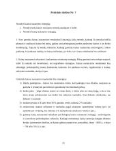 Rinkodaros tyrimas:  šarvuotų durų, garažo vartų pardavimas UAB "Saugus namas" 19 puslapis