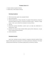 Rinkodaros tyrimas:  šarvuotų durų, garažo vartų pardavimas UAB "Saugus namas" 3 puslapis